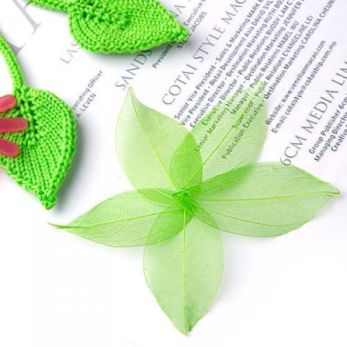 Natural Catbrier Skeleton Leav - огляд і ціна Embellishment Crafts