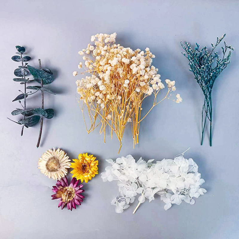 1pack Multifarious Dried Flowe - огляд і ціна Embellishment Crafts