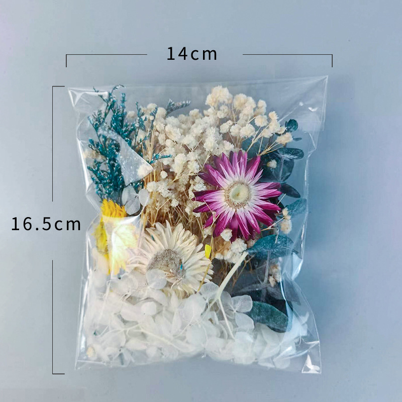1pack Multifarious Dried Flowe - огляд і ціна Embellishment Crafts